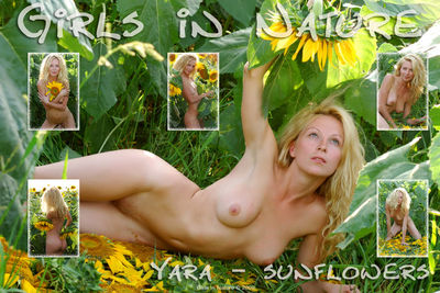 Girls-in-Nature – 2010-05-09 – Yara – Sunflowers (53) 2848×4288