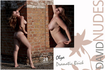 David-Nudes – 2009-06-21 – Olya – Dramatic Brick (28) 2592×3888