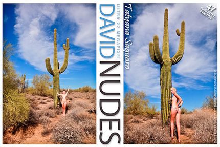 David-Nudes – 2011-03-06 – Tatyana – Saguaro (47) 3744×5616
