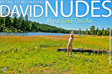 David-Nudes – 2011-04-02 – Alyse – Feel The Air (51) 3744×5616