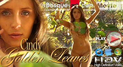 WalterBosque-Art – 2011-06-26 – Cindy – Golden Leaves (Video) HD MP4 1280×720