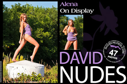 David-Nudes – 2012-01-17 – Alena – On Display (47) 2592×3888