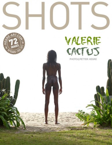 ValerieCactus-poster