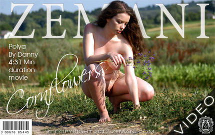 Zemani – 2012-11-19 – Polya – Cornflowers – by Danny (Video) DivX | WMV 720×576