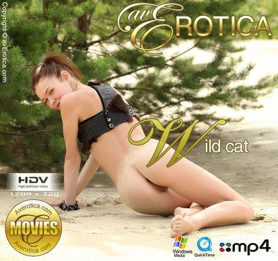 AvErotica – 2013-08-28 – Brigitte – Wild cat (Video) HD MOV | WMV 1280×720