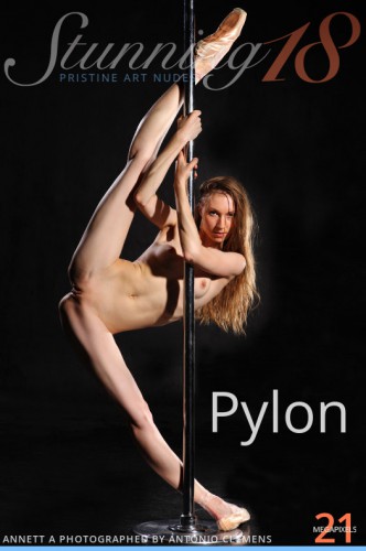 _Stunning-Pylon-cover