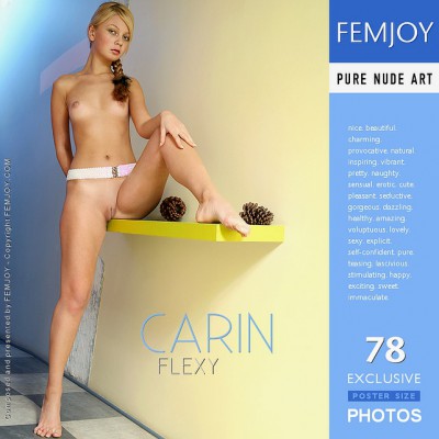 FJ – 2007-12-09 – Carin – Flexy – by FEMJOY Exclusive (78) 2667×4000