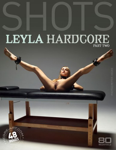 LeylaHardcorePart2-poster