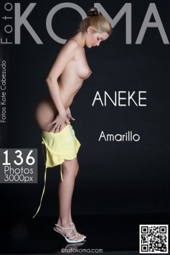 portada-aneke-amarillo-grande