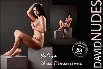 David-Nudes – 2009-06-28 – Yuliya – Three Dimensions (69) 2592×3888