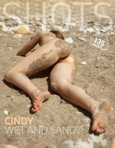 CindyWetAndSandy-poster-800x