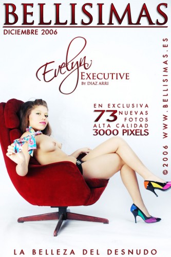 Bellisimas – 2006-12-22 – Evelyn – Executive – by Diaz Arri (73) 2000×3008