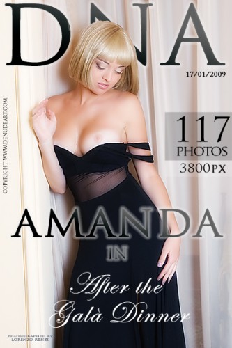 DNA – 2009-01-17 – Amanda – After the Gala dinner (117) 2592×3872