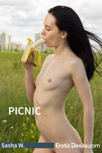 picnic--Cover_SahaW_small