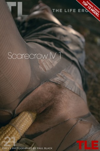 TLE – 2018-10-24 – EMILY J – SCARECROW IV 1 – by PAUL BLACK (200) 3744×5616