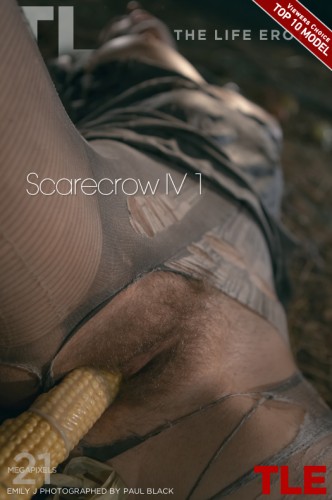 _TheLifeErotic-Scarecrow-IV-1-cover