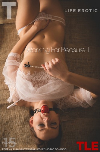 _TheLifeErotic-Working-For-Pleasure-1-cover