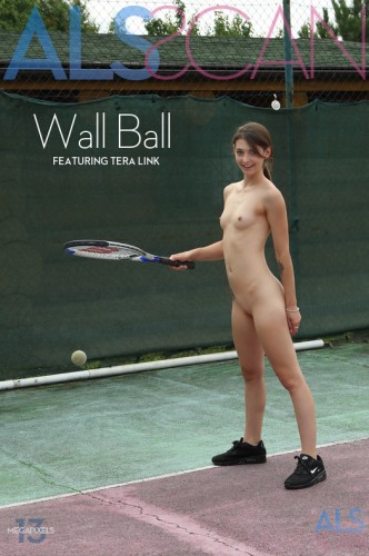 ALS – 2019-04-24 – TERA LINK – WALL BALL (177) 3456×5184
