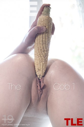 _TheLifeErotic-The-Cob-1-cover
