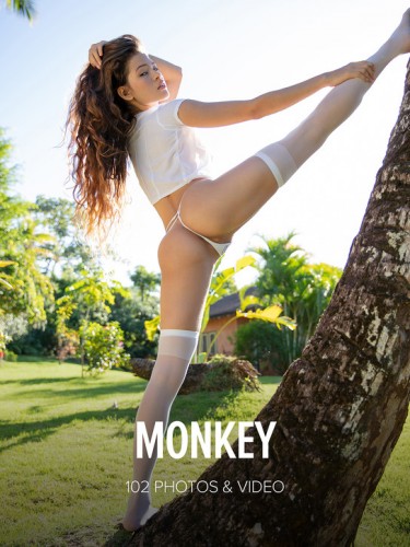 W4B – 2019-11-01 – Irene Rouse – Monkey (102) 5792×8688 & Backstage Video