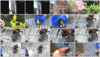 BiM – 2018-07-04 – Rhian Sugden – Rhian Saves A Bee (Video) HD M4V 1280×720