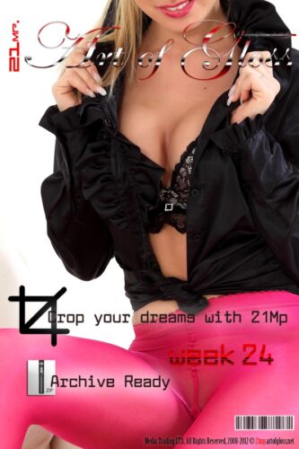 ArtofGloss 21MP – 2012 WEEK-24 – 7 best images from each daily set (49) 3744×5616