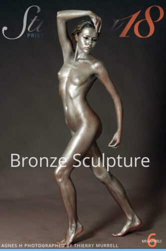 ST18 – 2021-06-04 – AGNES H – BRONZE SCULPTURE – by THIERRY MURRELL (185) 2048×3072