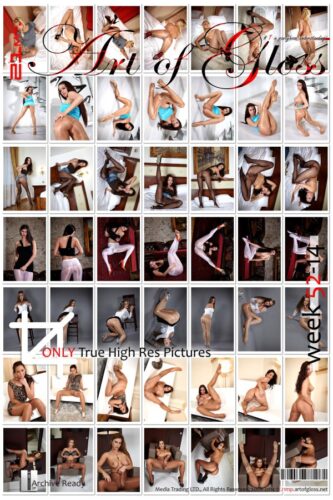 ArtofGloss 21MP – 2014 WEEK-52 – 7 best images from each daily set (49) 3744×5616