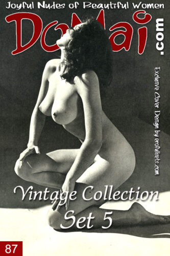 DOM – 2004-01-04 – Vintage Collection – Set 5 (87) up to 1848px