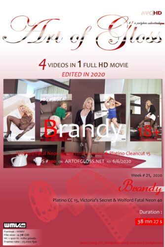 ArtofGloss – 2020 Week HDV 21-20 – Brandy & Platino CC 15, VS’s, WFN40 (Video) Full HD WMV 1920×1080