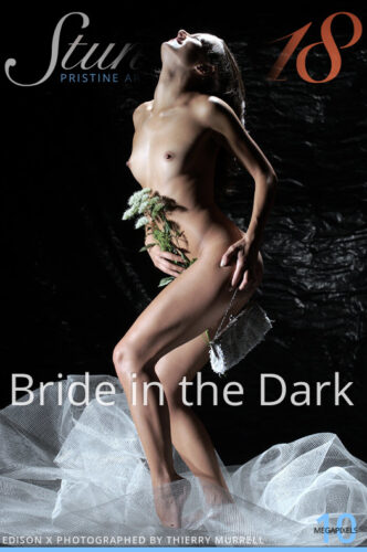 ST18 – 2022-04-15 – EDISON X – BRIDE IN THE DARK – by THIERRY MURRELL (146) 2592×3888
