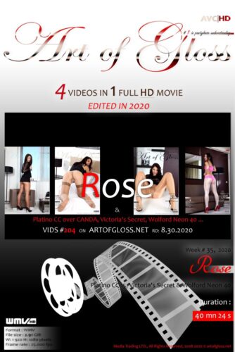 ArtofGloss – 2020 Week HDV35-20 – Rose & Platino CC 15, VS’s, WN40 (4 in 1) (Video) Full HD WMV 1920×1080