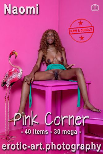 Erotic-Art – 2023-12-12 – Naomi – Pink Corner (40) 3667×5501