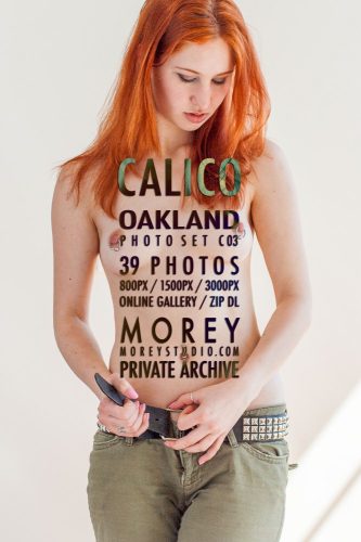 MS – 2024-04-09 – Calico (Oakland, California) – Set C03N (39) 1995×3000