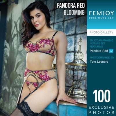 FJ – 2024-09-23 – Pandora Red – Blooming – by Tom Leonard (100) 3668×5500